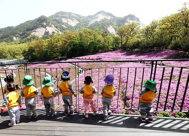불암산 철쭉동산을 찾은 아이들 [노원구 제공. 재판매 및 DB 금지]