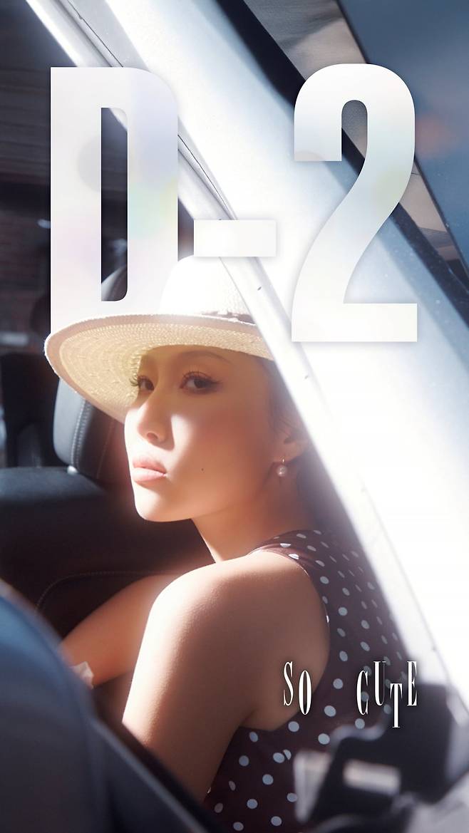 화사/ 사진 제공=피네이션