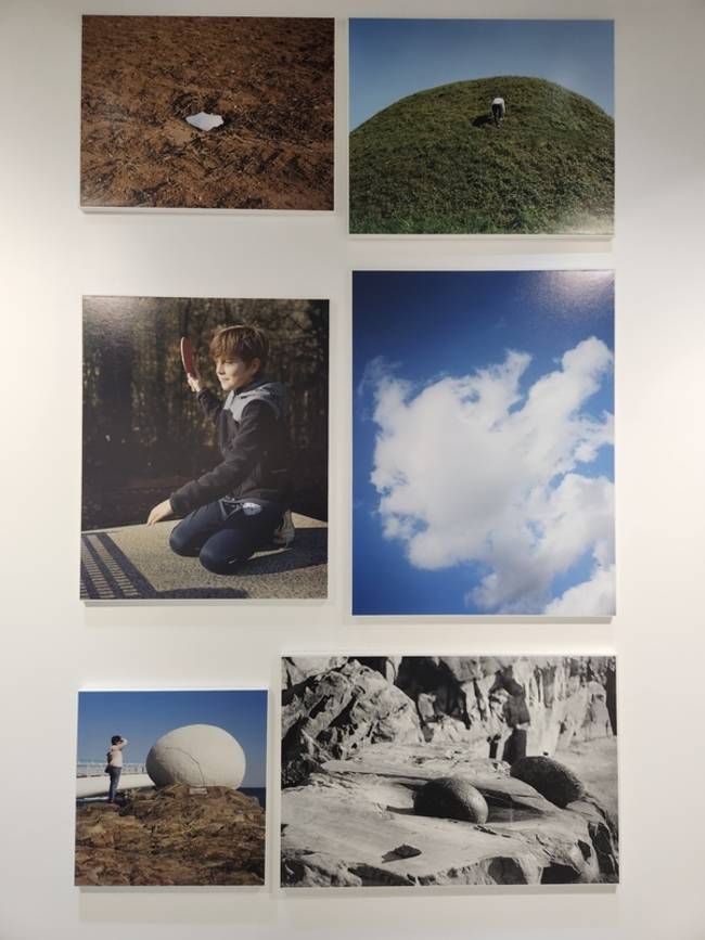 진주 PAC 갤러리에서 30일까지 이언경 개인전 <태양 아래 죽은 거목 등을 꺾어 매미-울고>가 열린다. /류민기 기자