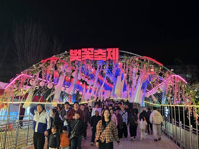 ▲ 안동시에 따르면 지난 4월 1일부터 5일까지 낙동강변 벚꽃길 일원에서 열린 축제에는 총 16만 2천여 명이 방문했다. 축제 기간 내내 벚꽃이 만개하며 상춘객 발길이 이어졌고, 특히 가족 단위 방문객과 단체 관광객 유입이 눈에 띄게 늘었다.