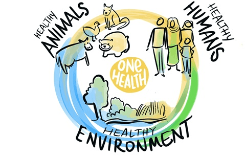 (사진=한국 채식문화원 제공) 원헬스(One Health)는 단순히 '인간과 동물의 보건 협력'이라는 실무적 차원을 넘어, 생명과 환경을 바라보는 근본적인 인식의 전환을 요구하는 전체론적 세계관(Holism), 탈인간중심주의, 관계론적 존재론, 윤리적 책임의 확장 등의 철학적 함의를 담고 있다.