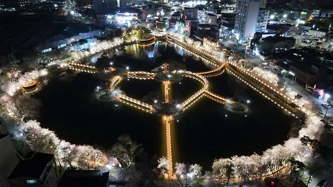 창녕 영산 연지못 스마트공원으로 재탄생 수양벚꽃 아래 야경을 품다