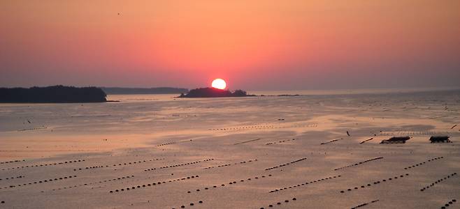 이시노마키 북상천 너머로 보이는 바다 풍경. /필자 제공