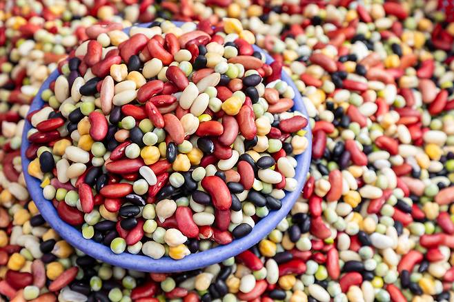 강낭콩, 검은콩 등 콩류에는 식물성 단백질과 함께 철분, 아연, 엽산, 칼륨, 식이섬유가 풍부하다./사진=클립아트코리아