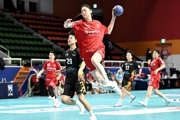 사진 대구광역시청 정지인