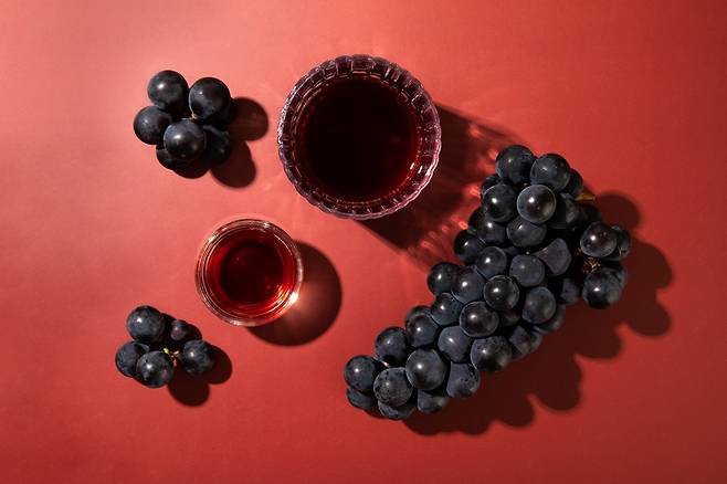 [사진=레드와인 비니거]