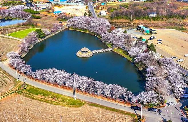 [당진=뉴시스] 충남 당진 면천면 골정지 전경. (사진=당진시 제공) 2026.04.07. photo@newsis.com *재판매 및 DB 금지
