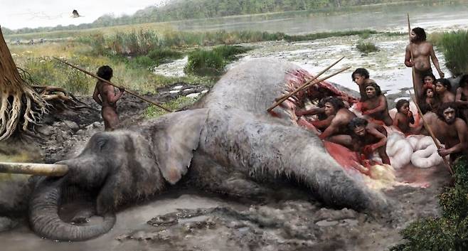 곧은 상아 코끼리를 도축하는 네안데르탈인. Tom Björklund, Lower Saxony State Office for Heritage (NLD)