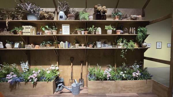 사진= 김호이 기자