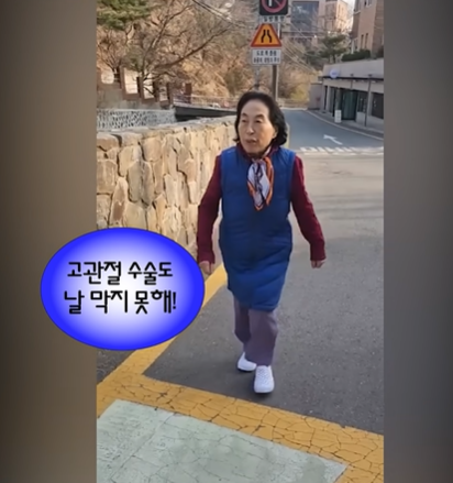 ⓒ유튜브 채널 '전원주 전원주인공'