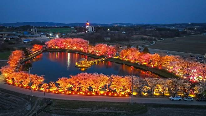 연암 박지원이 만든 당진 골정지가 벚꽃 시즌과 함께 ‘하트 모양 제방’으로 주목받고 있다. 뉴시스