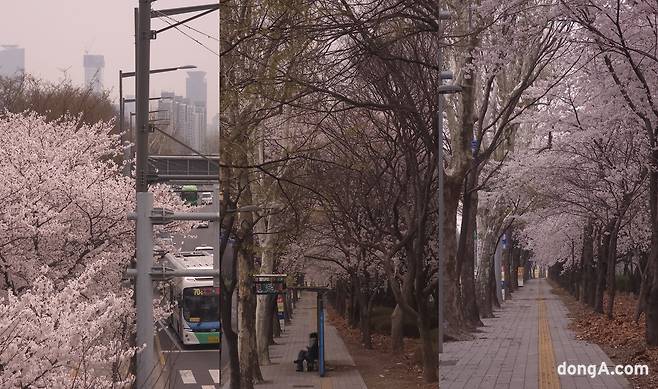 갤럭시 S26 울트라로 찍은 풍경 사진. 카메라 기본 기능 자체로 화이트밸런스(WB), 필름감도(ISO) 등을 조절할 수 있으며, 틴트 효과를 통해 자체 보정도 가능하다. 윤우열 기자 cloudancer@donga.com