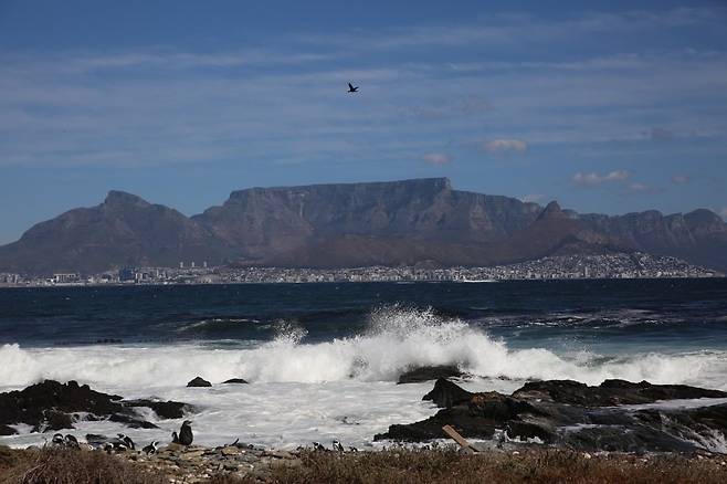 로빈 섬에서 바라본 테이블 마운틴. ©서병철