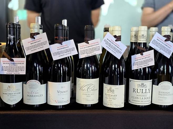 소피텔&nbsp; 와인데이즈 배리와인 수입 부르고뉴 와인. 최현태 기자