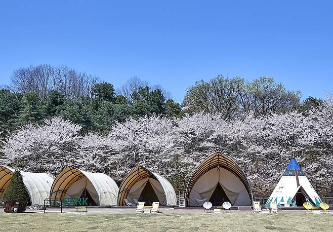 워커힐 포레스트 파크.&nbsp;&nbsp;워커힐 호텔앤리조트 제공