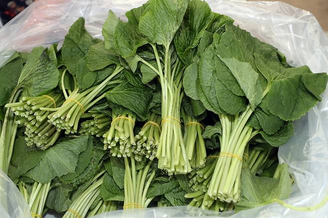 홍천 산나물 [홍천군 제공. 재판매 및 DB 금지]