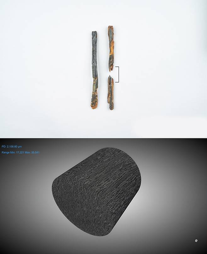 창원 다호리 1호 출토 붓(위)과 세포 조직  [국립김해박물관 제공. 재판매 및 DB 금지]