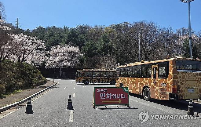 늑대 탈출한 대전 오월드 (대전=연합뉴스) 이주형 기자 = 8일 오전 9시 30분께 대전 중구 사정동 오월드 사파리에서 늑대 1마리가 탈출했다. 오월드 측과 중구, 경찰, 소방당국 등은 늑대를 수색 중이다. 오월드는 현재까진 오월드 밖으로는 탈출하지 않은 것으로 보고 있으며, 입장객은 출입하지 못하게 조치했다. 사진은 늑대가 탈출한 오월드 주차장. 2026.4.8 coolee@yna.co.kr