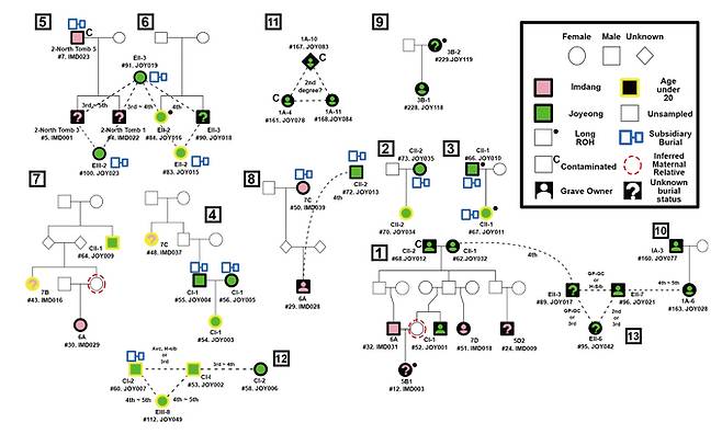 ▲ 삼국시대 압독국(押督國) 후예들의 집단 묘역인 '임당동·조영동 고총군'(경북 경산 소재)의 유전적 구조를 완벽히 규명했다. DNA 분석을 통해 본 임당동과 조영동 고분군 피장자들의 친족 관계. 영남대.