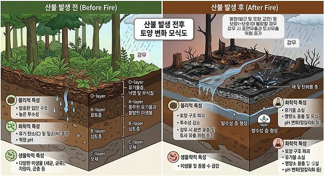 ▲ 산불지 토양 변화(AI활용 제작)