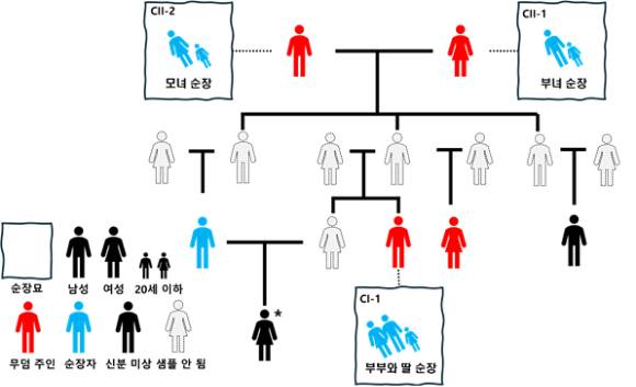 순장묘를 묘사하는 사각형과 해당 묘의 무덤 주인은 점선으로 연결돼 있다. 사촌 간 근친혼으로 태어난 여성(*)은 발굴 보고서상 신분 미상이나 무덤 주인으로 추정된다. 회색 인물들은 해당 연구에서는 발견되지 못했는데 친족 관계를 기반으로 유추가능한 인물들을 표시한 것이다. [사진=서울대]