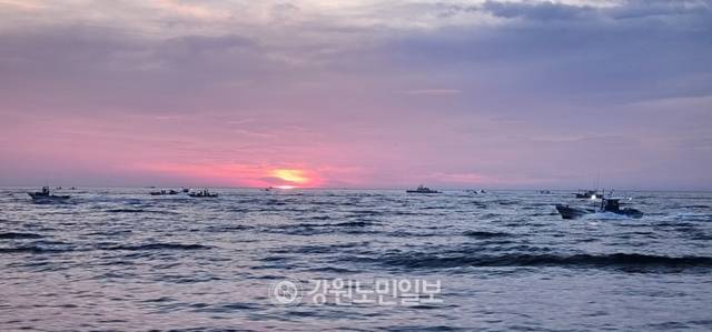 ▲ 최동북단 평화접경지 고성군 현내면 대진항에서 출어한 문어잡이 연승어선들이 9일 오전 6시 북위 38도 33분 북방한계선에서 저도어장으로 힘차게 레이스를 시작하며 물살을 가르고 있다.