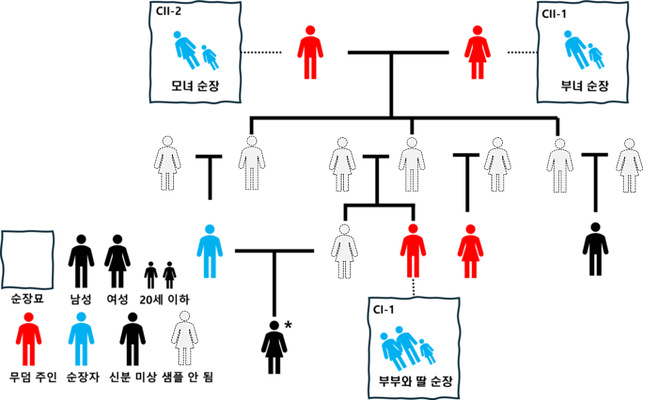 본 연구의 가계도 일부로 무덤 주인 간 유추된 가족 관계와 가족 순장이 된 경우들을 도식화한 것. 순장묘를 묘사하는 사각형과 해당 묘의 무덤 주인은 점선으로 연결되어 있음. 사촌 간 근친혼으로 태어난 여성(* 표시)은 발굴 보고서상 신분 미상이나 무덤 주인으로 추정됨. 회색 인물들은 해당 연구에서는 발견되지 못했으나 친족 관계를 기반으로 유추가능한 인물들을 표시한 것임. [사진=서울대]