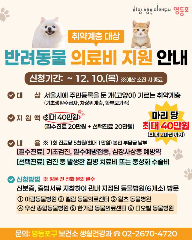 서울 영등포구의 취약계층 반려동물 의료비 지원사업 홍보 포스터. 영등포구청 제공