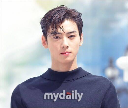 차은우./마이데일리DB