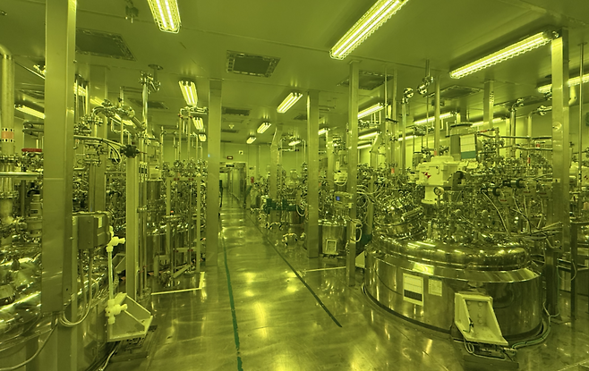동진쎄미켐 발안공장의 제조소 내부 사진. 클린룸 내부엔 노란색 조명만이 사용된다. 제조 물질이 빛에 예민하게 반응할 수 있기 때문이다. [동진쎄미켐]