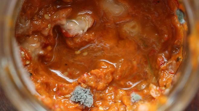 곰팡이가 핀 김치는 겉만 제거해도 안전하다고 보기 어렵다. 내부까지 오염이 퍼졌을 가능성이 있다. 게티이미지