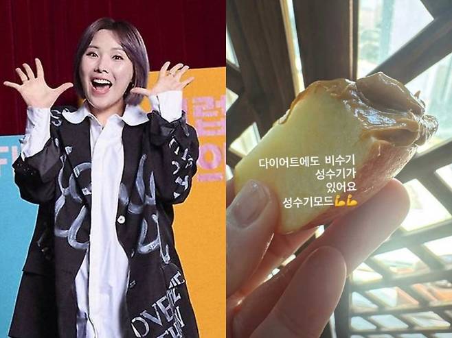 사진=세계일보 자료사진, 신봉선 SNS