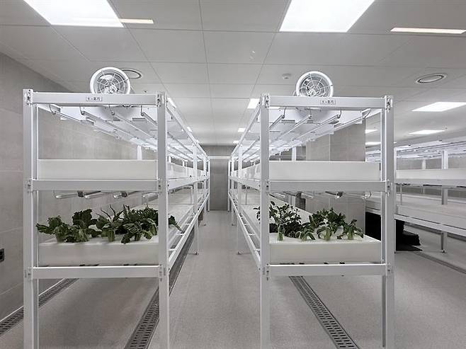 오티에르 반포의 스마트팜. 사진 제공=포스코이앤씨