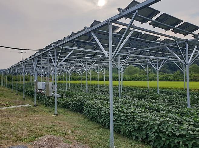 파평면 덕천리 스마트팜 영농형태양광 시설. 사진=파주시 제공