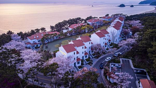 충남 태안군 소재 아일랜드 리솜 전경. [출처=호반호텔앤리조트]