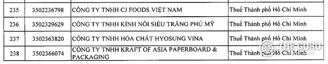 효성화학의의 베트남 생산기지