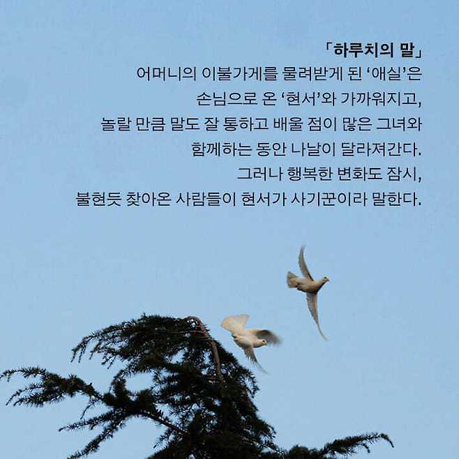 [신간] '달걀의 온기'