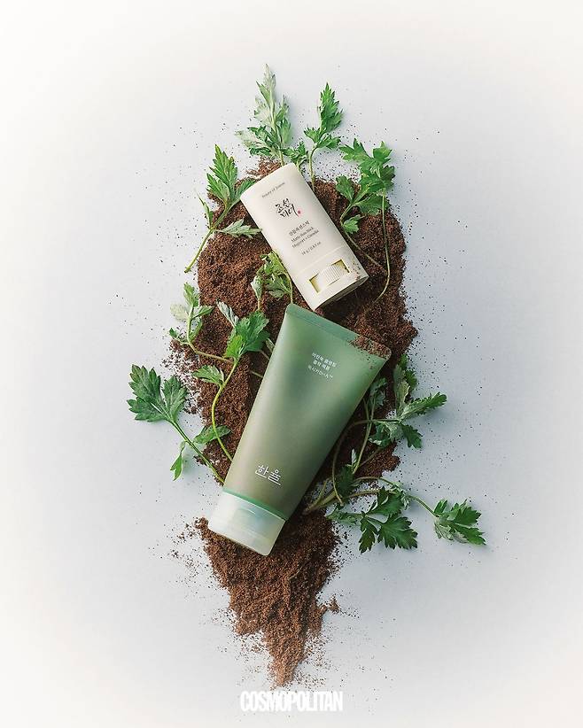 (위부터)산들쑥 선스틱 1만8천원 조선미녀 실리카 파우더가 유분을 흡착해 끈적임 없이 얇게 발리는 스틱 타입 선스틱. 항염 및 항균 작용을 하는 사철쑥 추출물이 들어 있어 강렬한 자외선에 자극받은 피부를 진정시킨다. 선케어 제품에도 민감하게 반응하는 피부라면 장벽 강화에 도움을 주는 사철쑥 추출물 함유 제품을 선택하는 것도 좋은 방법. 어린쑥 클렌징 흡착 팩폼 2만8천원 한율 쫀득한 제형의 마스크 팩에서 부드러운 클렌징 폼으로 변하는 텍스처가 특징인 제품. 피부 열감을 낮추고 싶거나 트러블을 진정시키고 싶을 때는 팩처럼 사용하고, 가벼운 데일리 케어를 원한다면 미온수와 함께 클렌징 폼으로 활용할 수 있다.