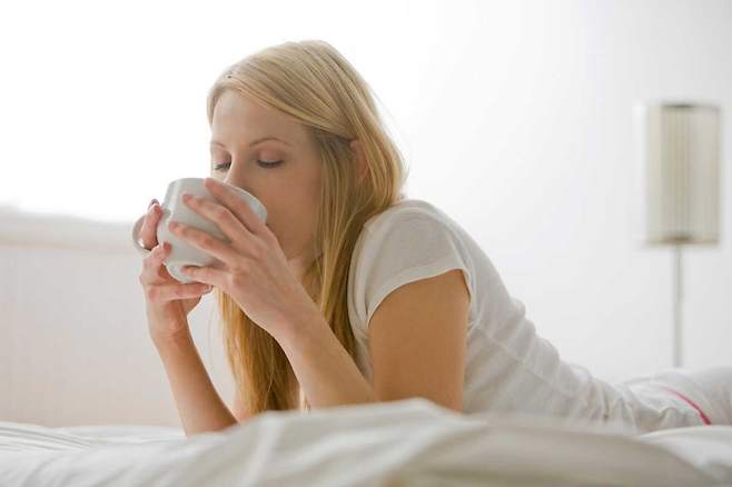 루이보스 차는 카페인이 없고 항산화 성분이 풍부해 건강에 이롭다. /클립아트코리아