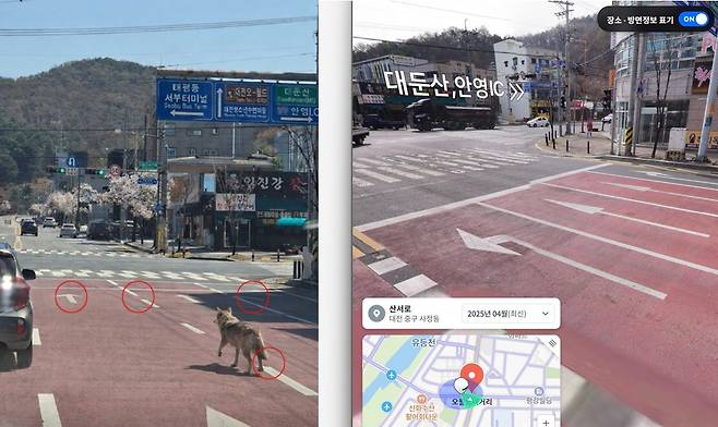 합성이 의심되는 부분들과 네이버 스트리트뷰 비교