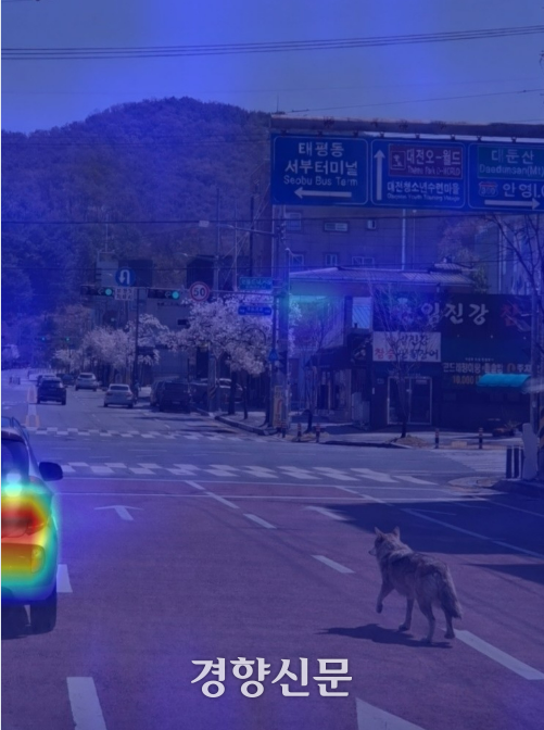 AI 이미지 탐지기인 트루스스캔으로 판독한 결과 97% 확률로 AI 생성 사진인 것으로 나왔다. 빨간색일수록 합성 가능성이 크다. 자동차 부분 이외에 늑대 주위 조명과 그림자가 주변 환경과 일치하지 않고 지나치게 선명한 것을 주요 이유로 제시했다.