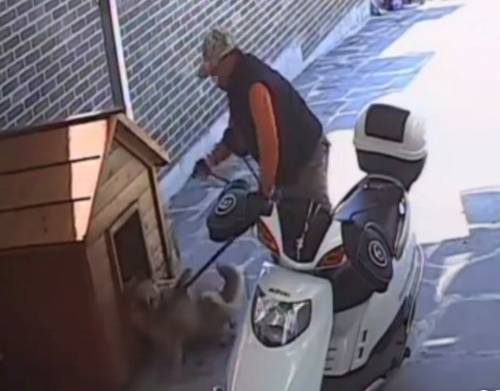 무단 침입해 반려견 끌고 가는 A씨 [동물 구조단체 유엄빠 제공. 연합뉴스]