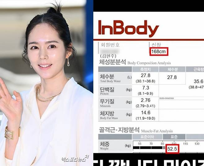 사진 = 엑스포츠뉴스 DB / 한가인 유튜브