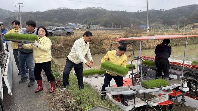 군의회 의원들 모내기 돕기 [순창군의회 제공. 재판매 및 DB 금지]