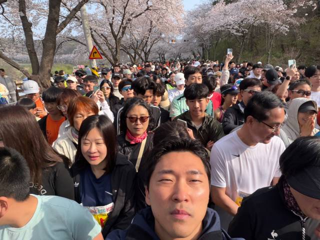11일 대전 동구 신상동 벚꽃한터에서 열린 '2026 대청호 벚꽃길 마라톤대회'에서 출발선에 선 러너들이 힘차게 발을 내디딜 준비를 하고 있다. 사진=정현태 기자