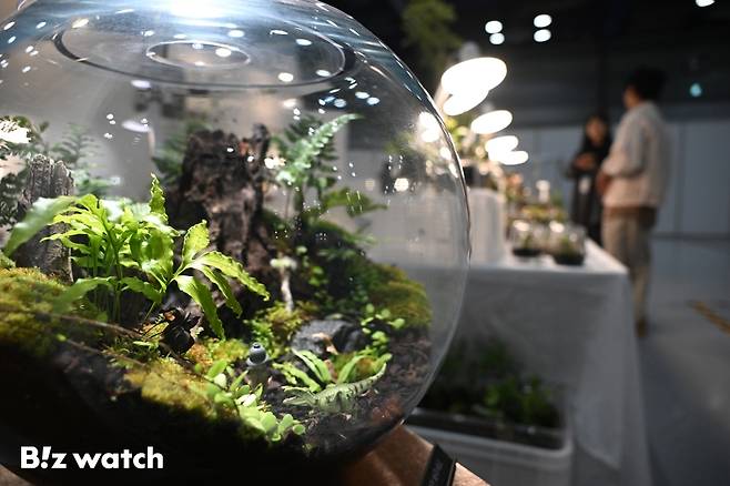 8일 서울 삼성동 코엑스에서 국제 기후테크 공기산업박람회 '에어페어 2026'가 개최되고 있다.사진은 자연정화 식물을 이용한 공기청정 시연 모습/사진=이명근 기자 qwe123@