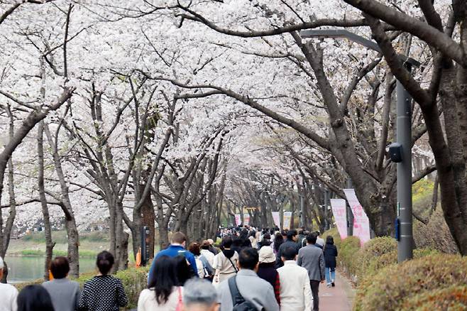 위 사진은 기사 내용과 무관함.(사진=서울교통공사)