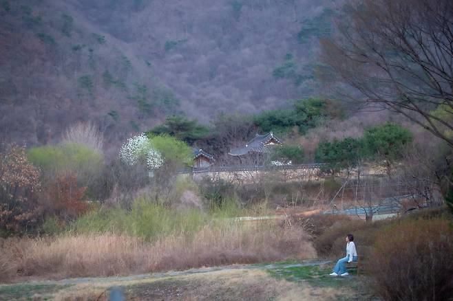 이효재가 '산막이마을' 부근에 즐겨 찾는다는 비밀의 숲. 조선 중기의 유명한 신하인 노수신이 귀양살이를 하던 '괴산 수월정'(노수신 적소)과 가깝다. / 김종연 영상미디어 객원기자