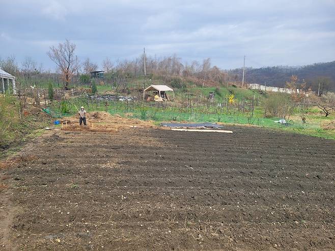 진정한 자급자족 인생을 시작해보려 포도밭 옆 빈 땅을 일궜다.