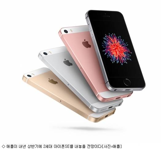 애플의 '아이폰SE2'[사진=아이뉴스24 DB]